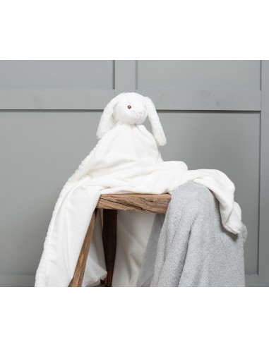 M-MM751-Animal Blanket